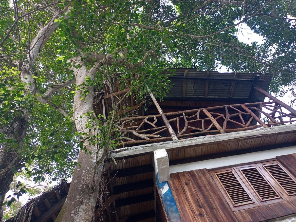 Nunkai Eco-Hostal La Punta มอนตาญิตาร์ ภายนอก รูปภาพ